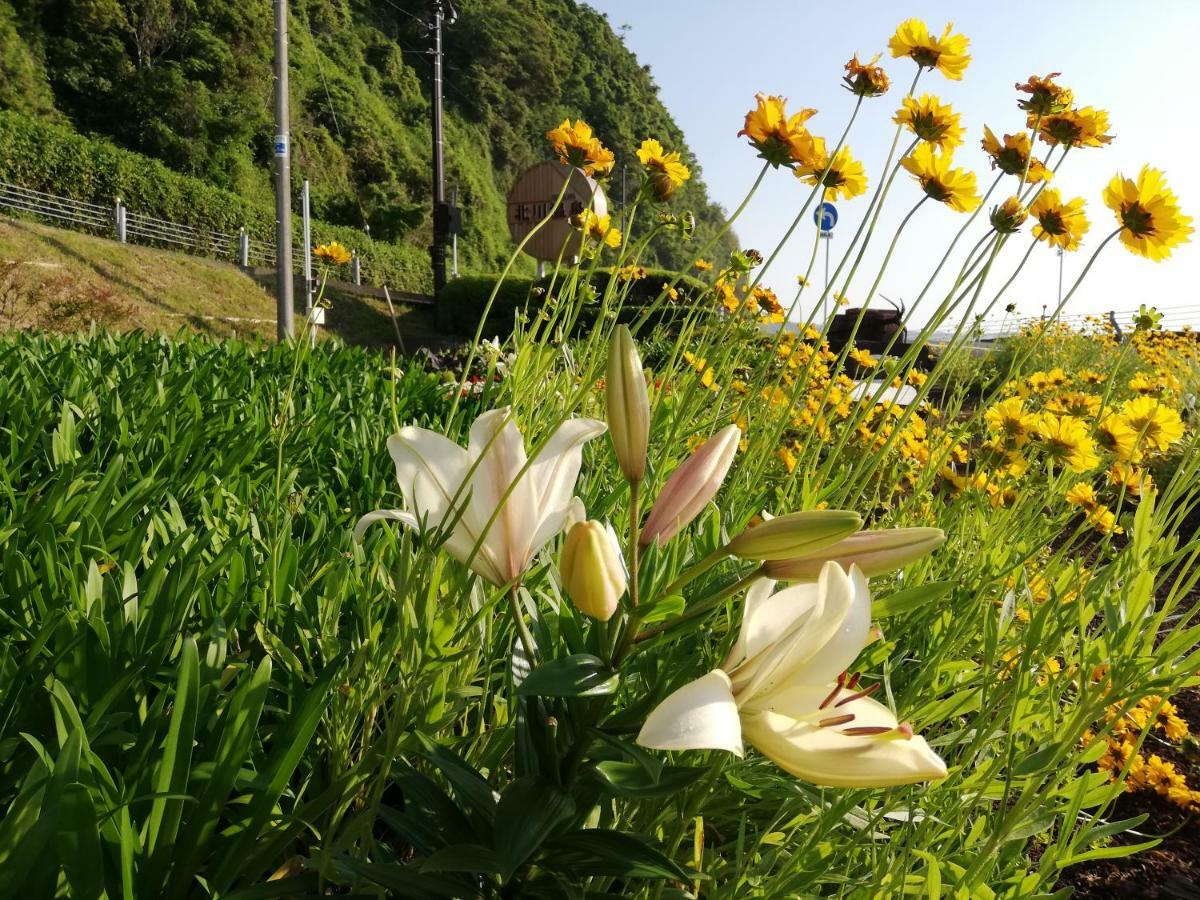 Izu Hokkawa Seaside Guesthouse 伊豆北川の家 Higashiizu Exterior foto